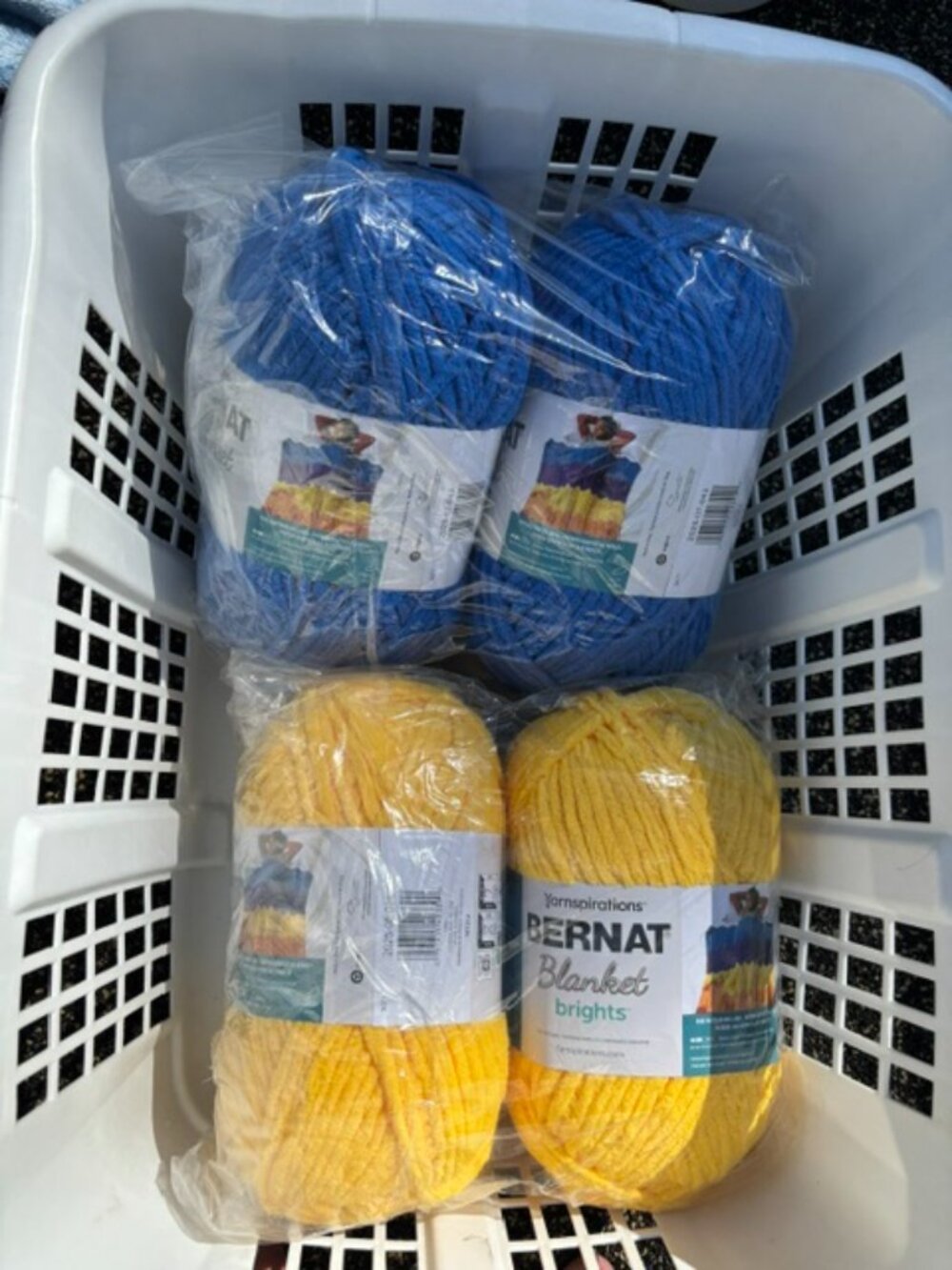 4 Skeins of Bernat Blanket Wool